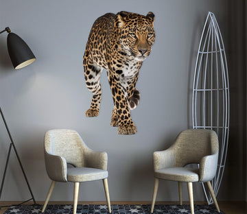 3D Hungry Tiger 188 Animals Wall Stickers Wallpaper AJ Wallpaper 