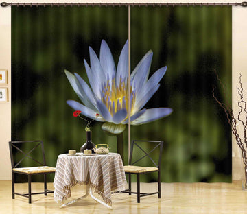 3D Wildflower 058 Kathy Barefield Curtain Curtains Drapes