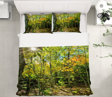 3D Forest 62174 Kathy Barefield Bedding Bed Pillowcases Quilt