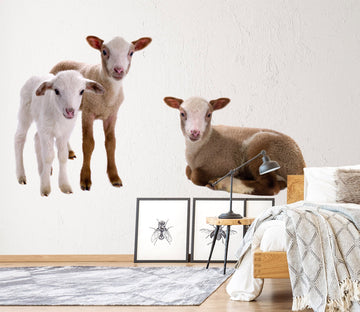 3D Sheep Baby 122 Animals Wall Stickers Wallpaper AJ Wallpaper 