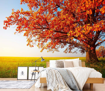 3D Autumn Landscape 148 Wall Murals Wallpaper AJ Wallpaper 2 
