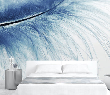 3D Soft Feather WG287 Wall Murals