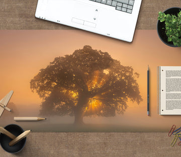 3D Tree Fog 12417 Assaf Frank Desk Mat