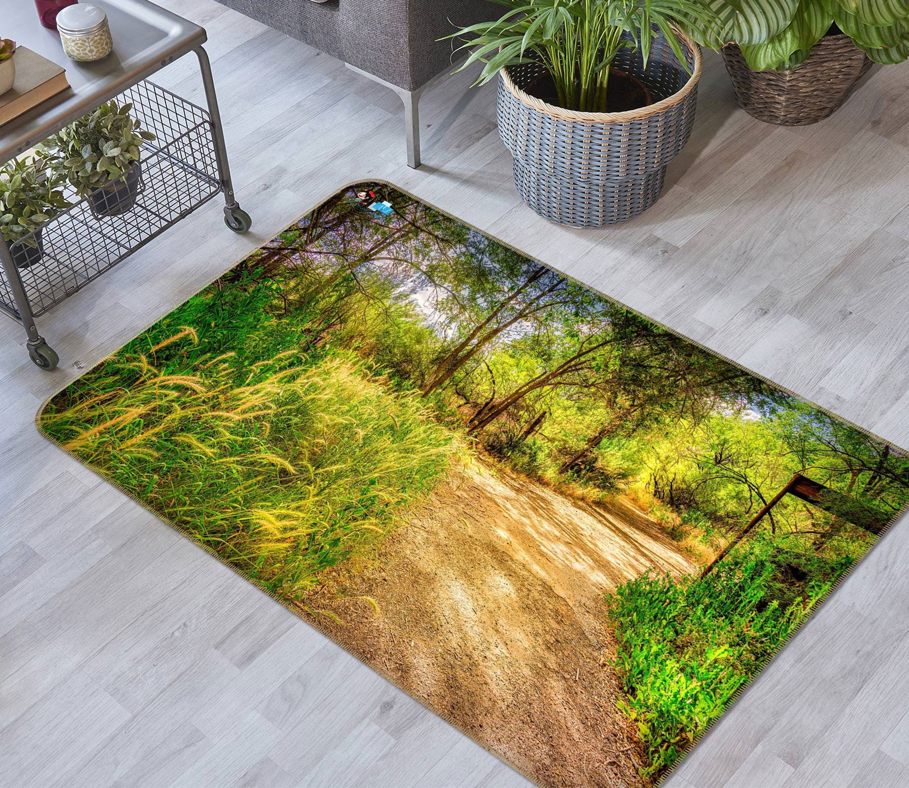 3D Grass Path 5153 Beth Sheridan Rug Non Slip Rug Mat