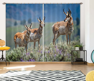 3D Pronghorn Antelope 041 Kathy Barefield Curtain Curtains Drapes