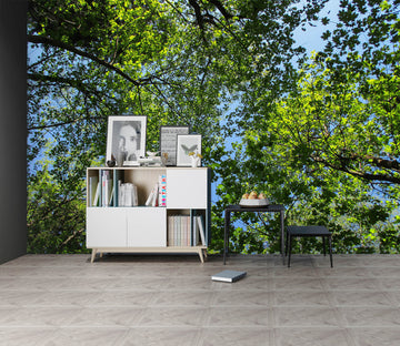 3D Tree 57220 Wall Murals