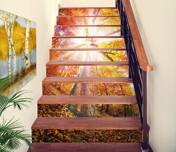 3D Daylight And Autumn Forest 318 Stair Risers