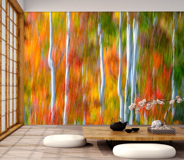 3D Orange Reflection 1437 Marco Carmassi Wall Mural Wall Murals