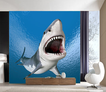 3D Great White Shark 1011 Wall Murals