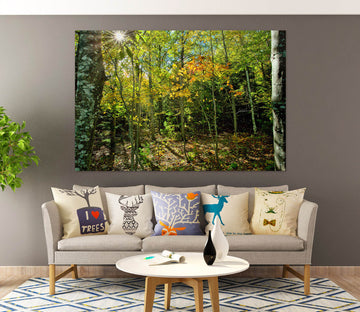 3D Fall In The Forest 62107 Kathy Barefield Wall Sticker