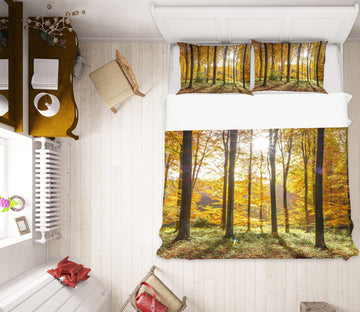 3D Sunlight Trees 7012 Assaf Frank Bedding Bed Pillowcases Quilt Cover Duvet Cover