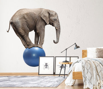 3D Elephant Playing With A Ball 177 Animals Wall Stickers Wallpaper AJ Wallpaper 