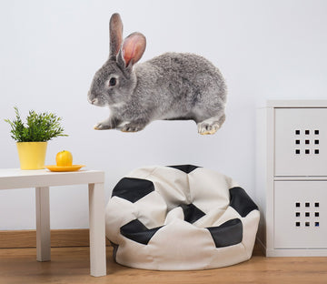 3D Little Grey Rabbit 120 Animals Wall Stickers Wallpaper AJ Wallpaper 