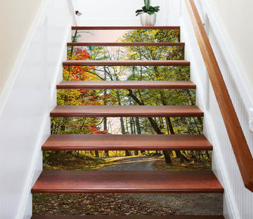 3D Forest Path 98224 Kathy Barefield Stair Risers