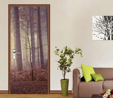 3D Fog Woods 10666 Assaf Frank Door Mural