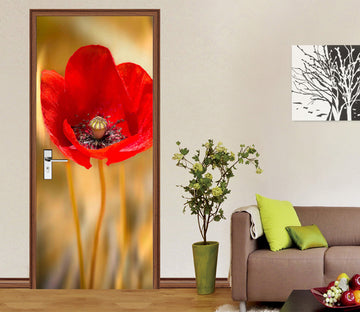 3D Red Flower 122140 Marco Carmassi Door Mural