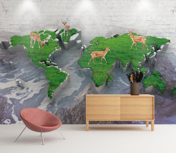 3D Fawn Lawn Map WC424 Wall Murals