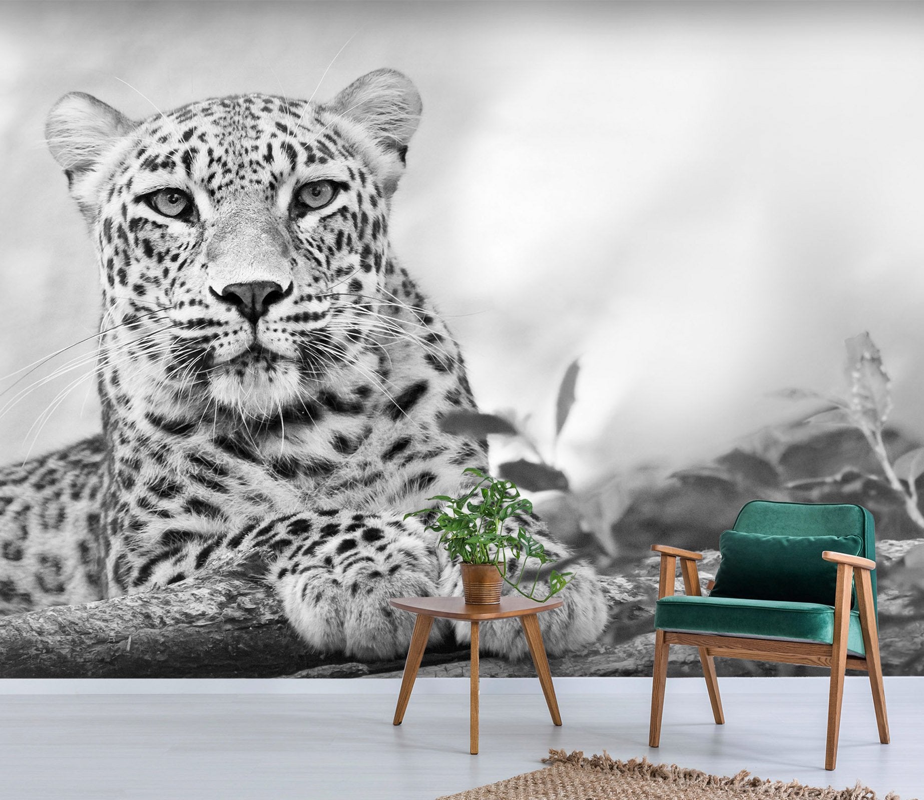 3D Smoke Leopard 241 Wallpaper AJ Wallpaper 