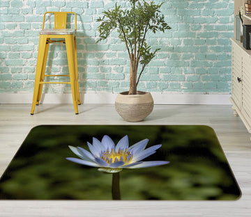 3D Floret 1114 Kathy Barefield Rug Non Slip Rug Mat