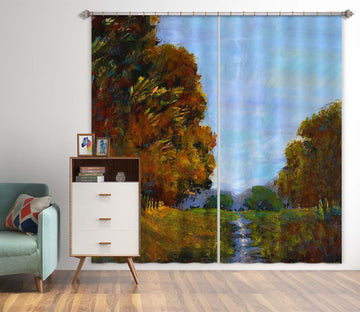 3D Winding River 217 Michael Tienhaara Curtain Curtains Drapes