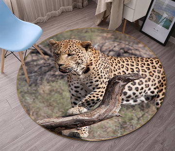 3D South African Leopard 093 Animal Round Non Slip Rug Mat Mat AJ Creativity Home 