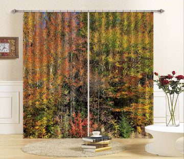 3D Jungle 62163 Kathy Barefield Curtain Curtains Drapes