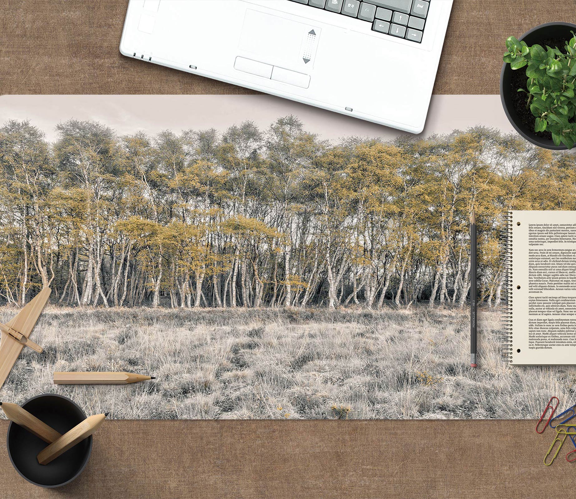 3D Meadow Woods 12434 Assaf Frank Desk Mat