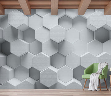 3D White Geometry WG312 Wall Murals