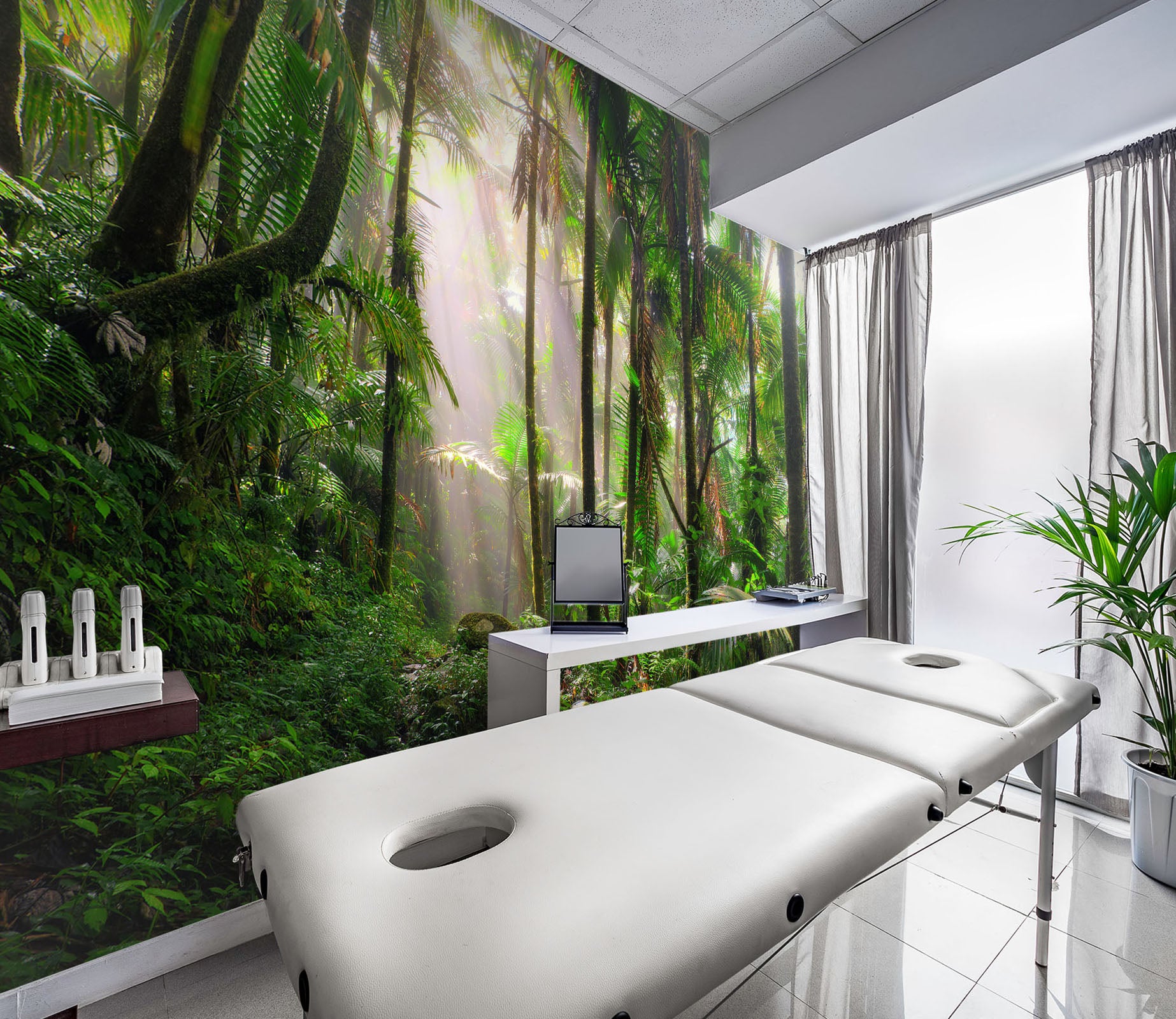 3D Foggy Forest 388 Wall Murals