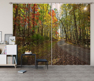 3D Sunny Forest 060 Kathy Barefield Curtain Curtains Drapes