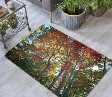 3D Forest Sunlight 1119 Kathy Barefield Rug Non Slip Rug Mat