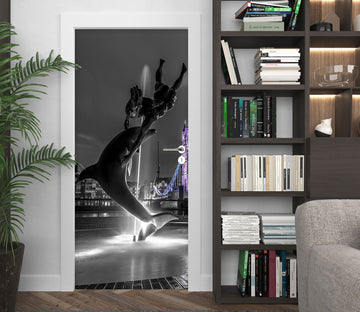 3D Dolphin Shadow 10702 Assaf Frank Door Mural