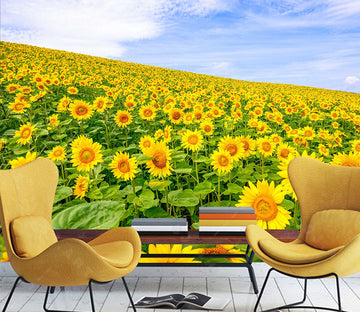 3D Sunflower Estate 1042 Wall Murals