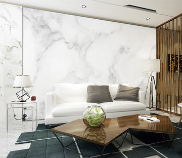 3D Black Line WC2439 Wall Murals