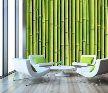 3D Green Bamboo 1012 Wall Murals