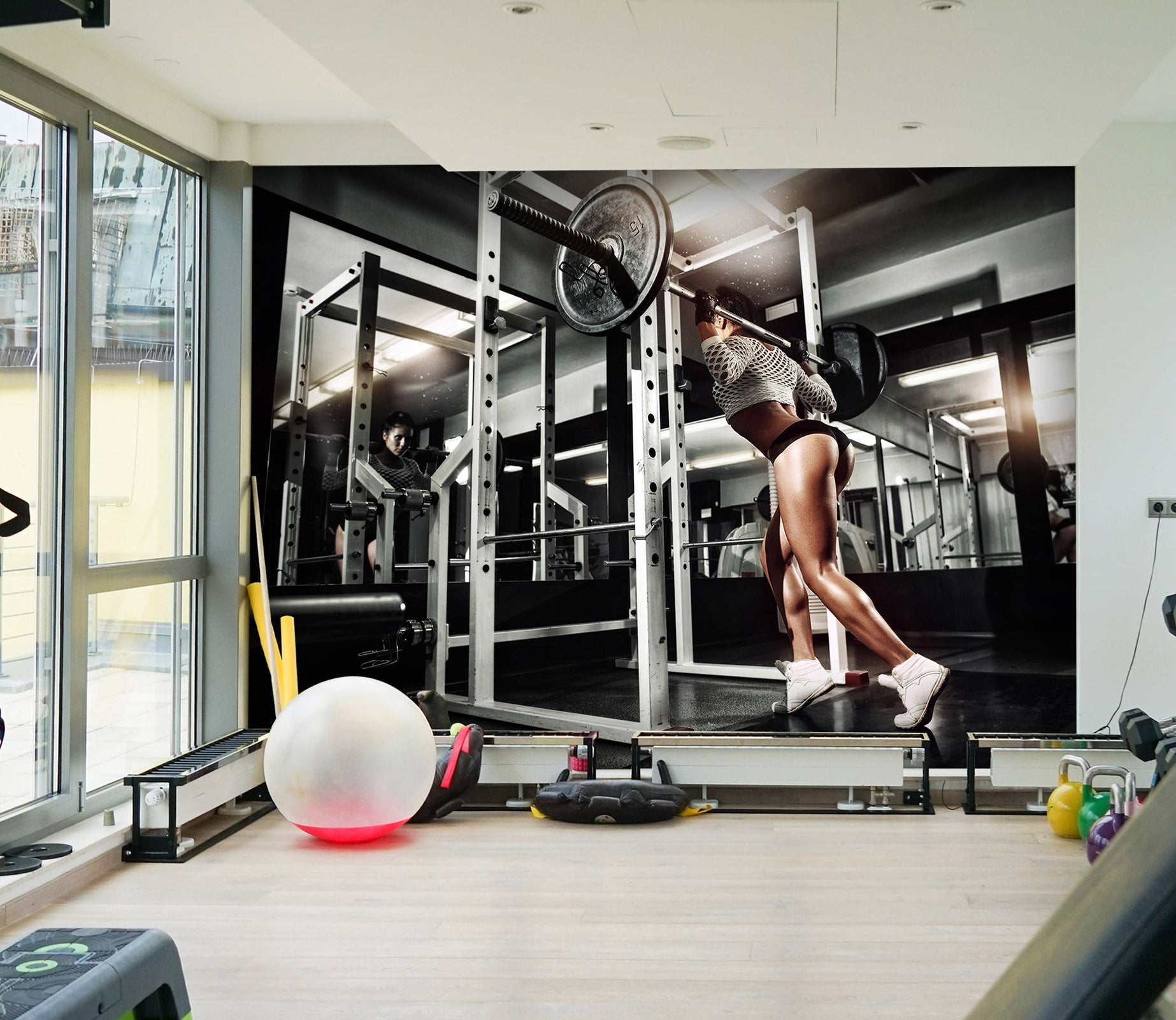 3D Barbell Exercise 221 Wall Murals