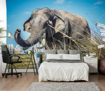 3D Elephant Grass 410 Wall Murals