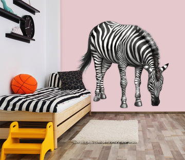3D Zebra Looking For Something To Eat 149 Animals Wall Stickers Wallpaper AJ Wallpaper 