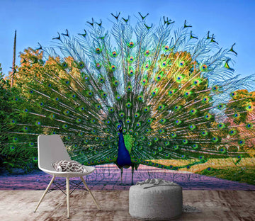 3D Peacock Opening 411 Wall Murals