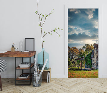 3D Sky House Lawn 10845 Beth Sheridan Door Mural