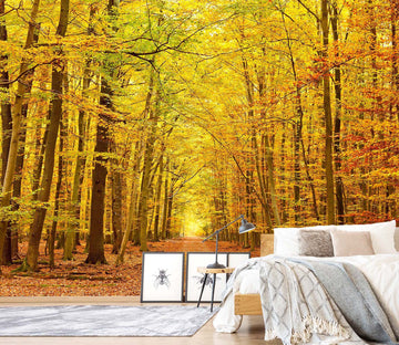 3D Maple Forest 055 Wall Murals