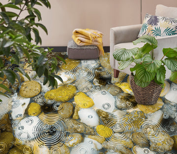 3D Ripples And Pebbles 040 Floor Mural