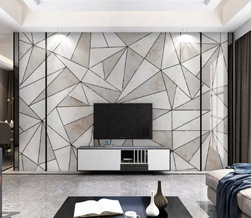3D White Triangle WC2154 Wall Murals