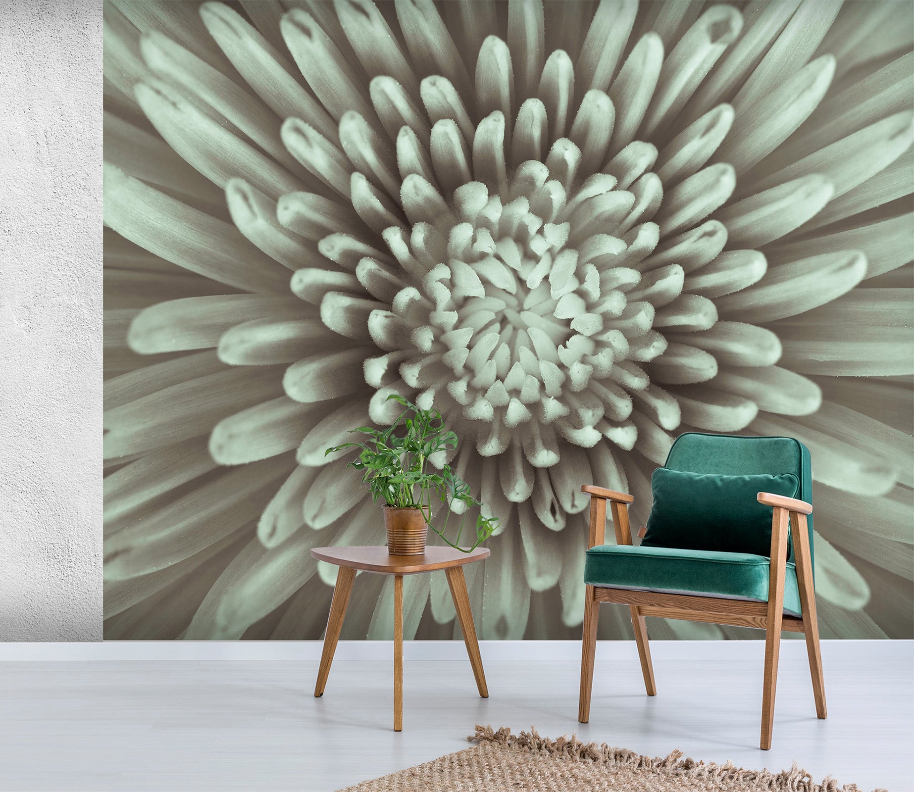 3D White Daisy 1401 Assaf Frank Wall Mural Wall Murals