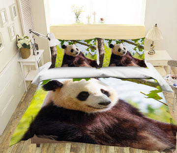 3D Forest Panda 1927 Bed Pillowcases Quilt