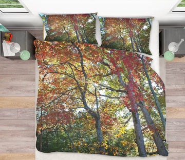 3D Forest Red Leaves 2123 Kathy Barefield Bedding Bed Pillowcases Quilt