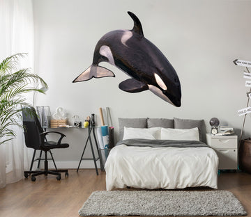 3D Whale 117 Animals Wall Stickers Wallpaper AJ Wallpaper 
