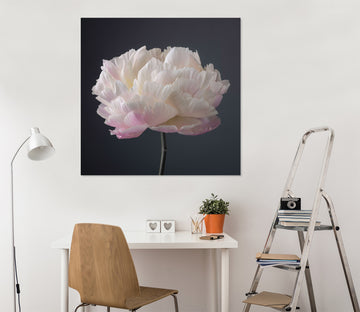 3D White Flowers 024 Assaf Frank Wall Sticker