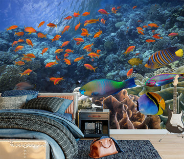 3D Sea Fish 57207 Wall Murals