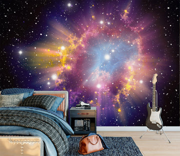 3D Color Starry Sky 1686 Wall Murals